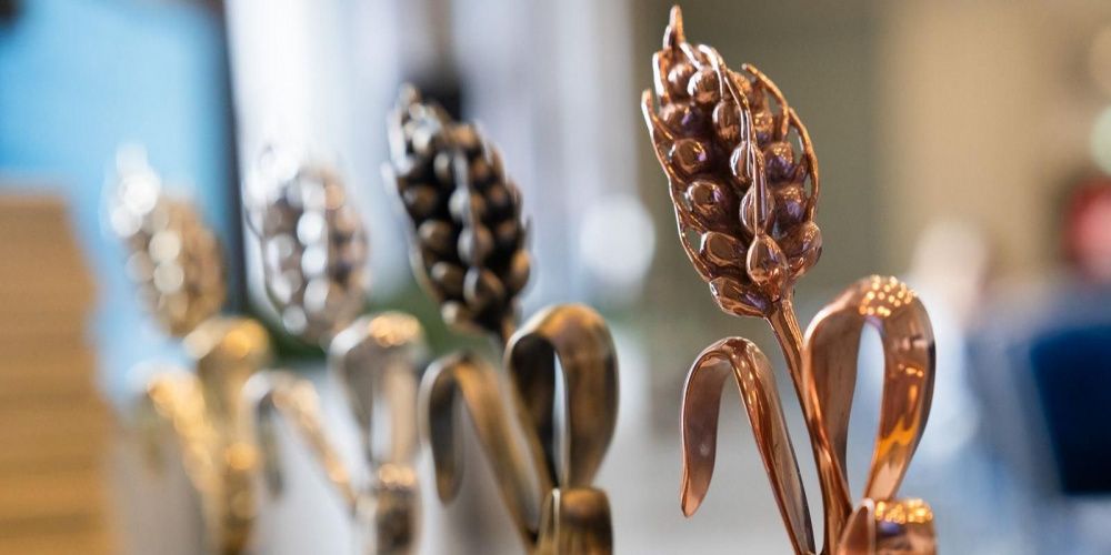 Начался прием заявок на конкурс «Золотой колос – 2026»